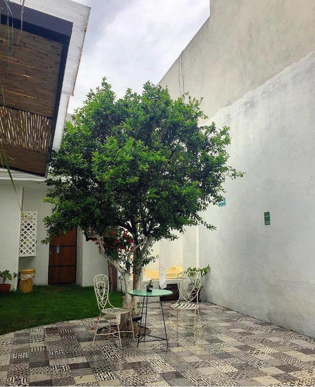 Hoja Santa Hostal Boutique Cholula Exteriör bild